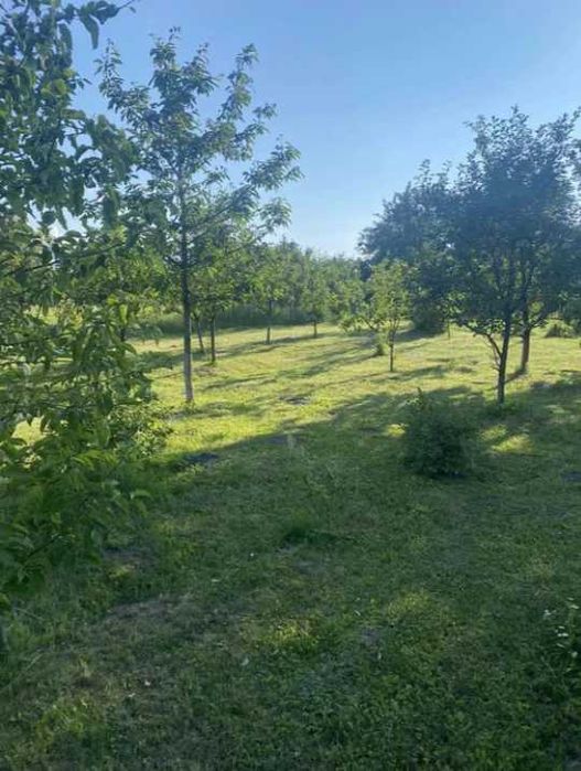 Продається ділянка з будинком с.Заболотне (Буськ)