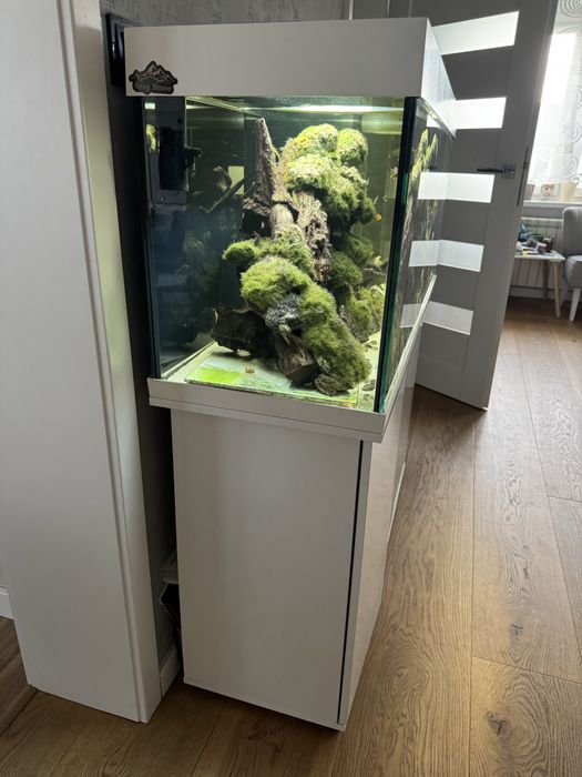 Juwel 240 sprzedam z życiem