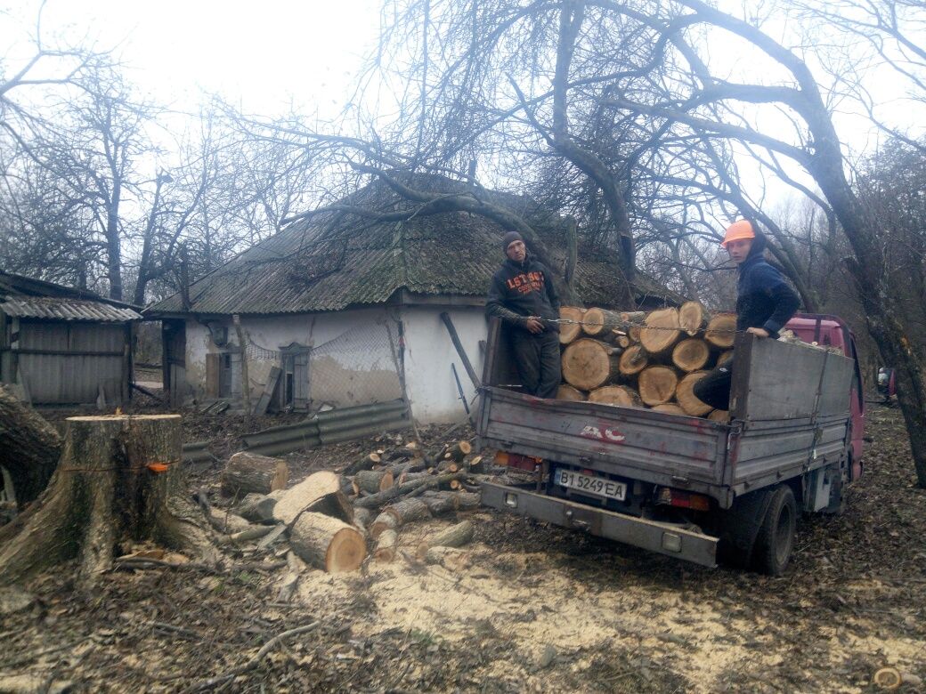 Спил аварійних дерев будь-якої складностi