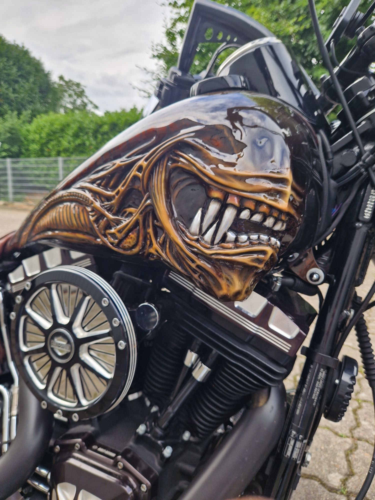 Harley Dawidson Softail Slim ALIEN