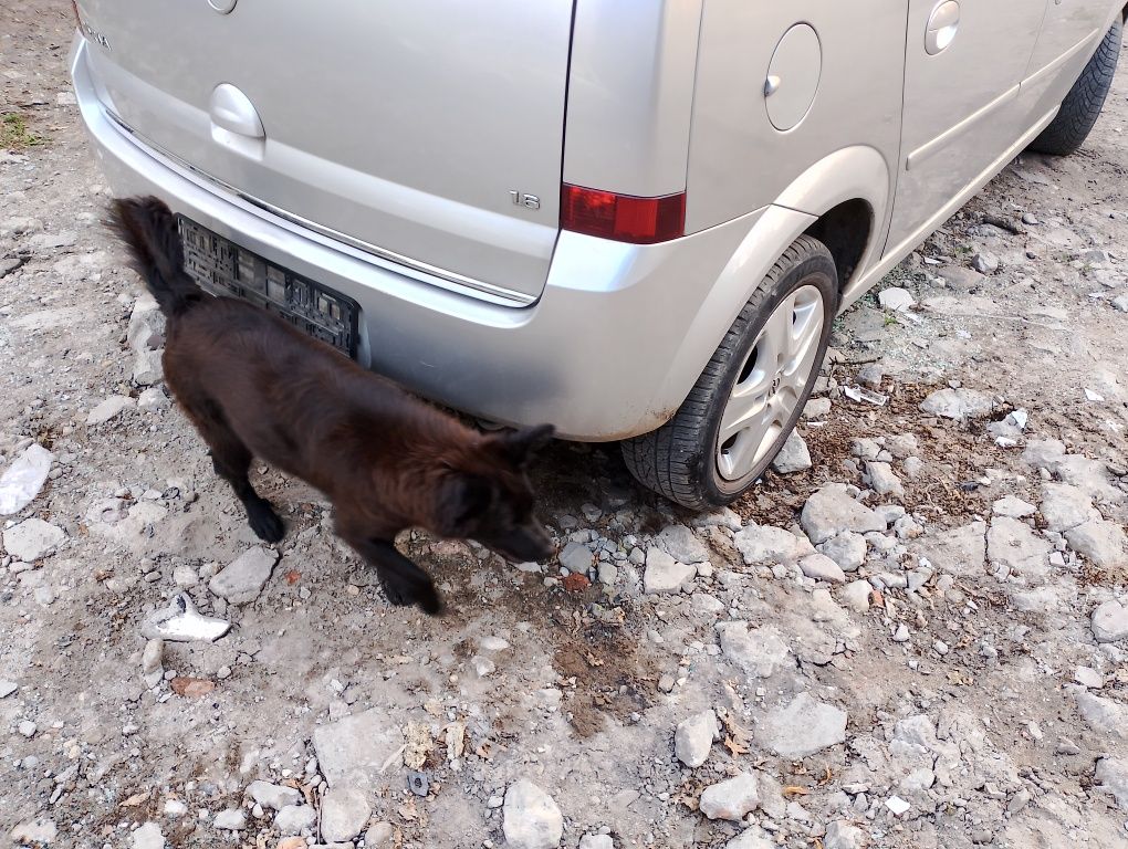 Zderzak tył opel Meriva a z157