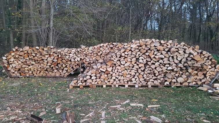 Drewno kominkowe: brzoza, olcha