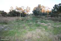 Terreno Urbano com 310m2 em Pinhal do General - Fernão Ferro