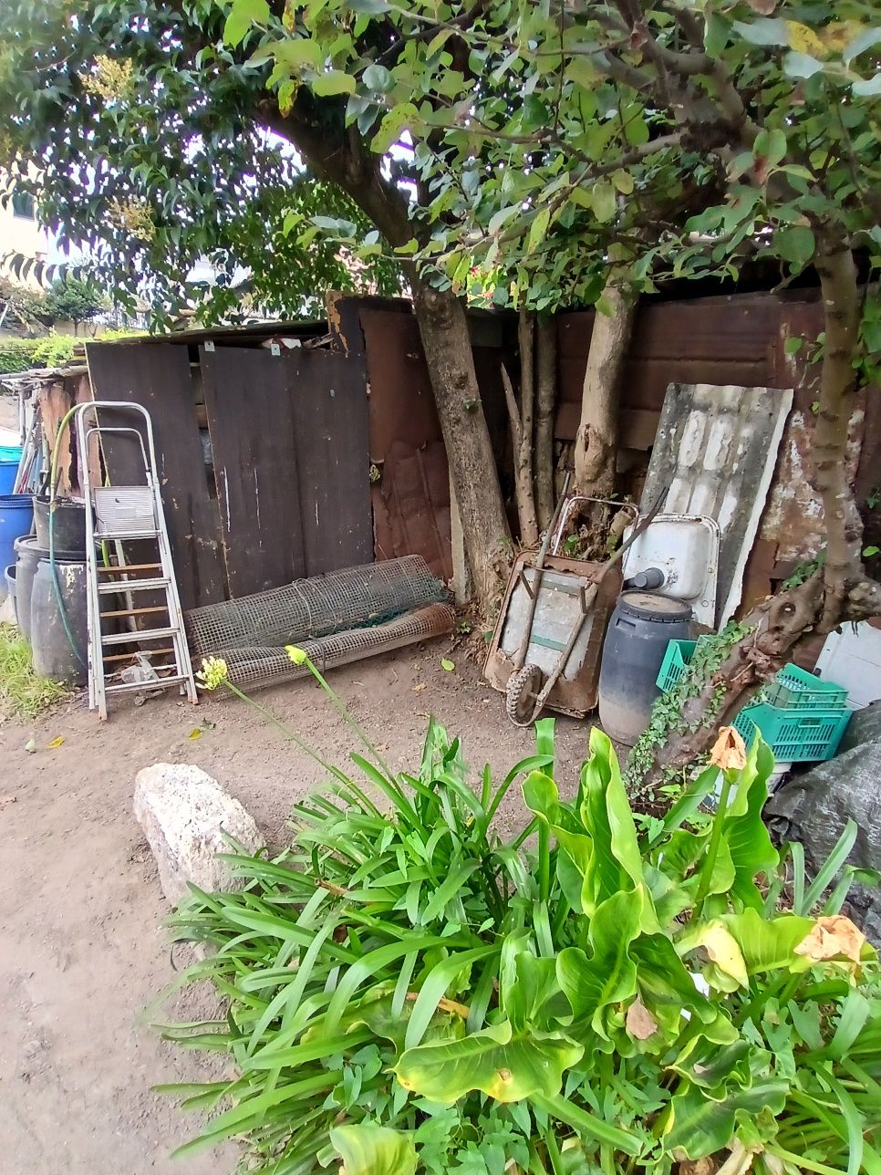 Limpeza de pequenos campos