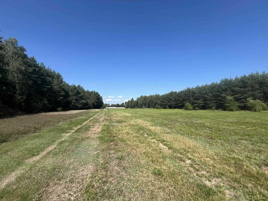 Działki budowlane ZALESNA (Gmina Bełchatów)