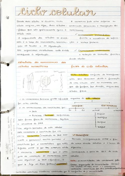 Resumos biologia e geologia 10º/11º para Exame Nacional IAVE