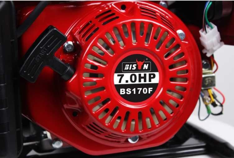 Генератор Bison 3 кВт газ / бензин Оригінал мідна обмотка 1 -фазний