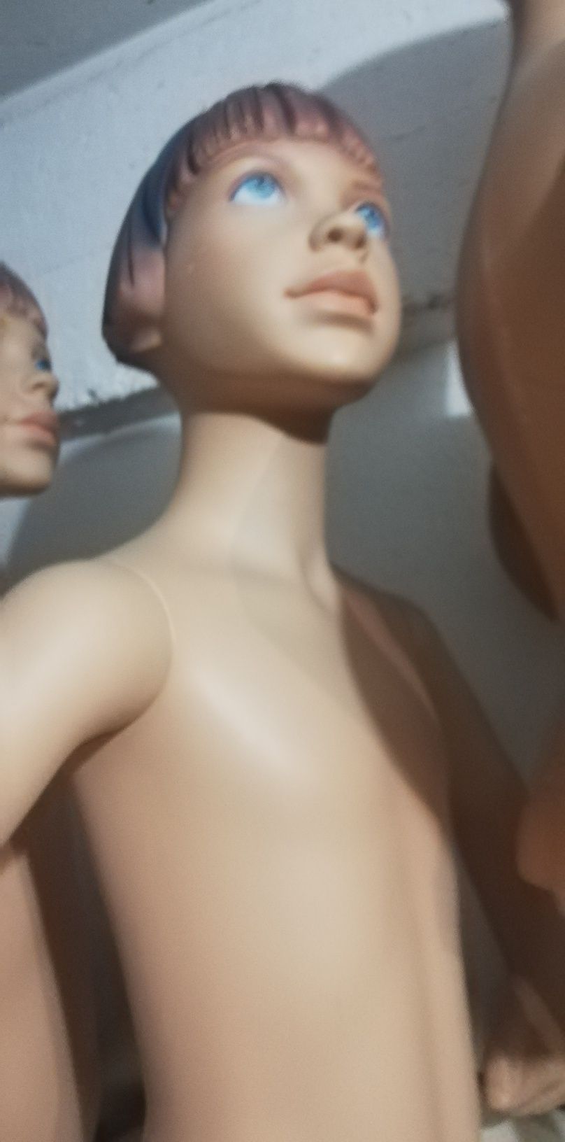Manequins/bustos /torsos