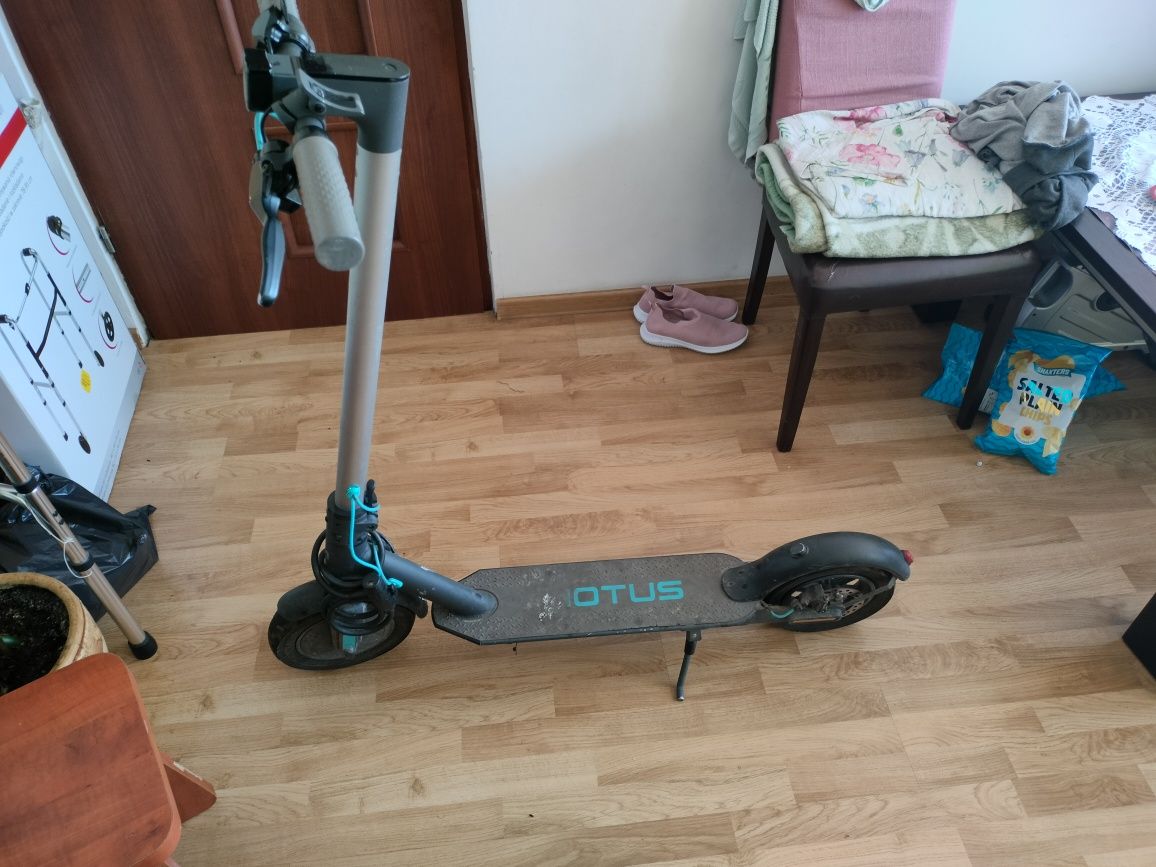 Hulajnoga Motus Scooty 10