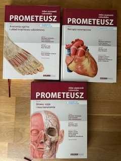 Prometeusz atlas anatomii tom I, II, III