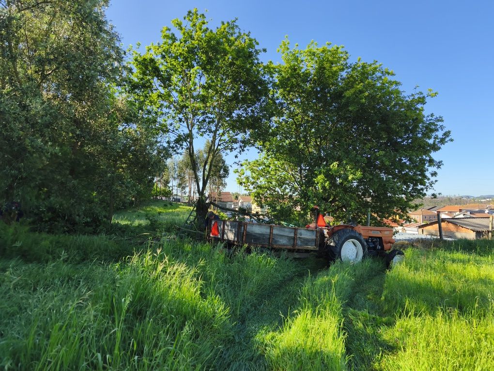 Limpeza de terrenos
