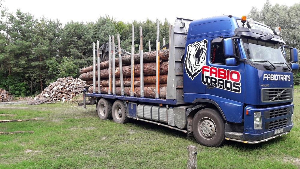Transport drewna z lasu hds