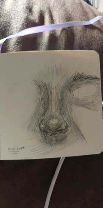 szkice/płótna/rys. kredkami NA ZAMOWIENIE