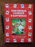 Мои первые словари в картинках. Ван Гул. 500 слов Рус-Англ