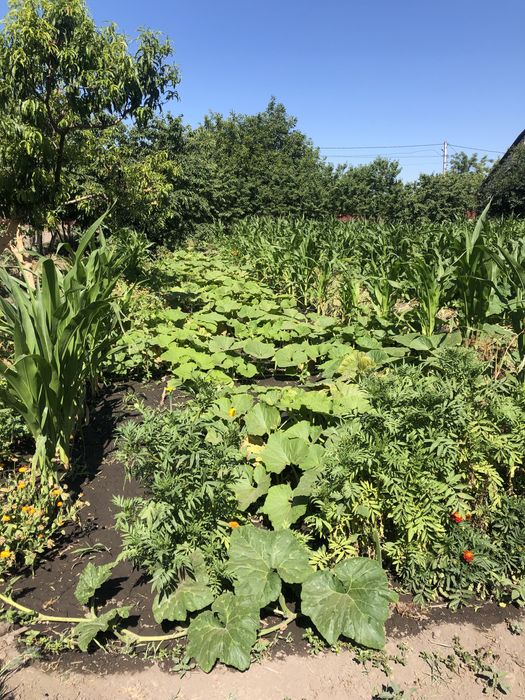 Ділянка/участок 15сот в с.Яськи 45км від Одеси