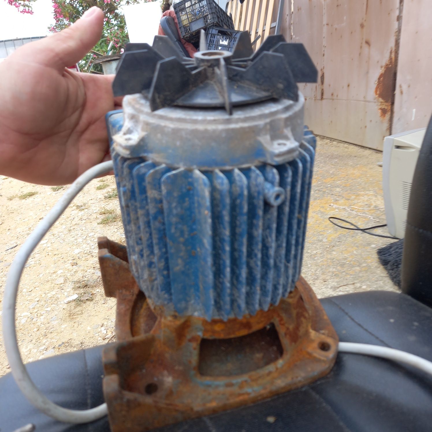 Motor   electrico