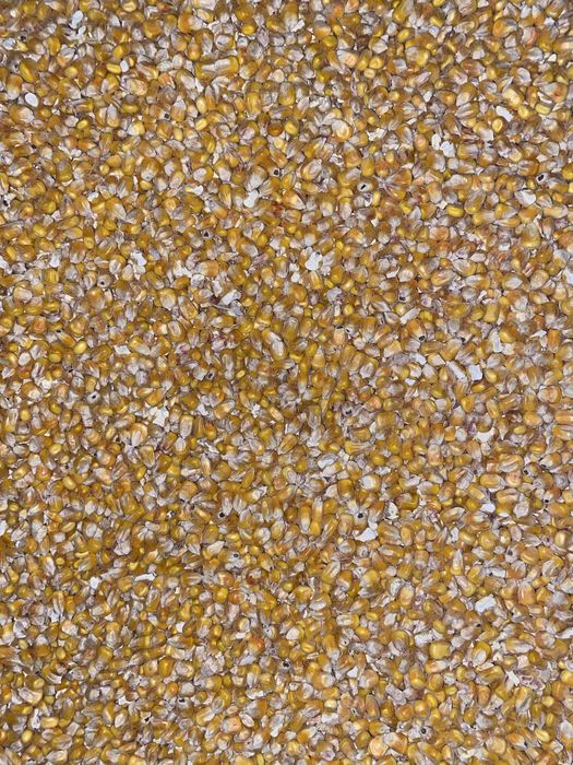 Kukurydza sucha workowana