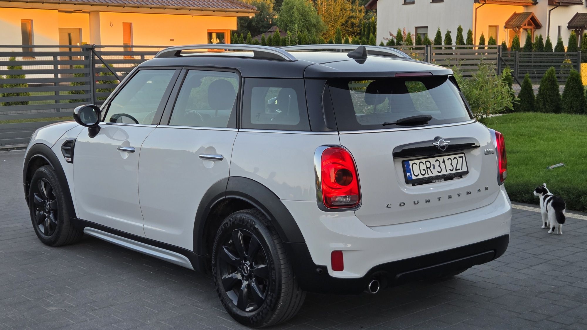 MINI Countryman  BiXenon LED ambiente tempomat czarny sufit okazja