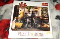 Puzzle 500 Animal Kotki