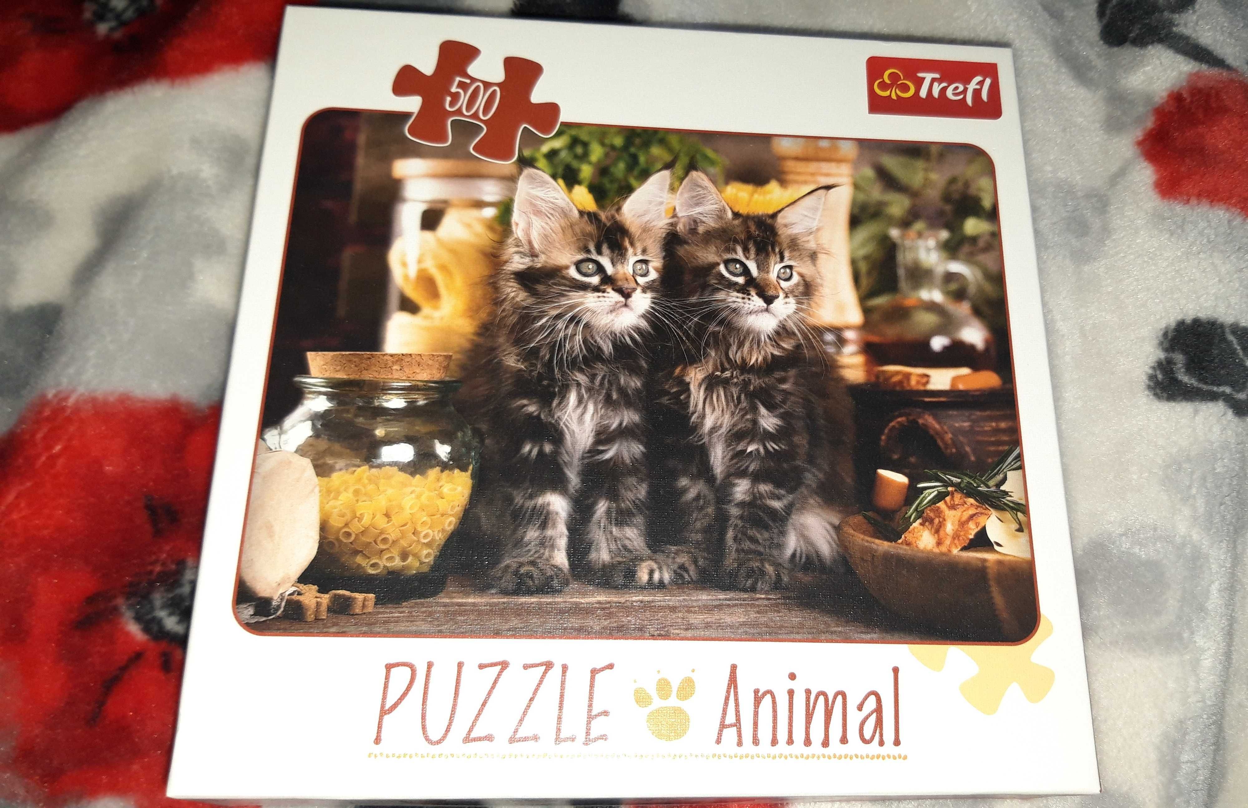 Puzzle 500 Animal Kotki