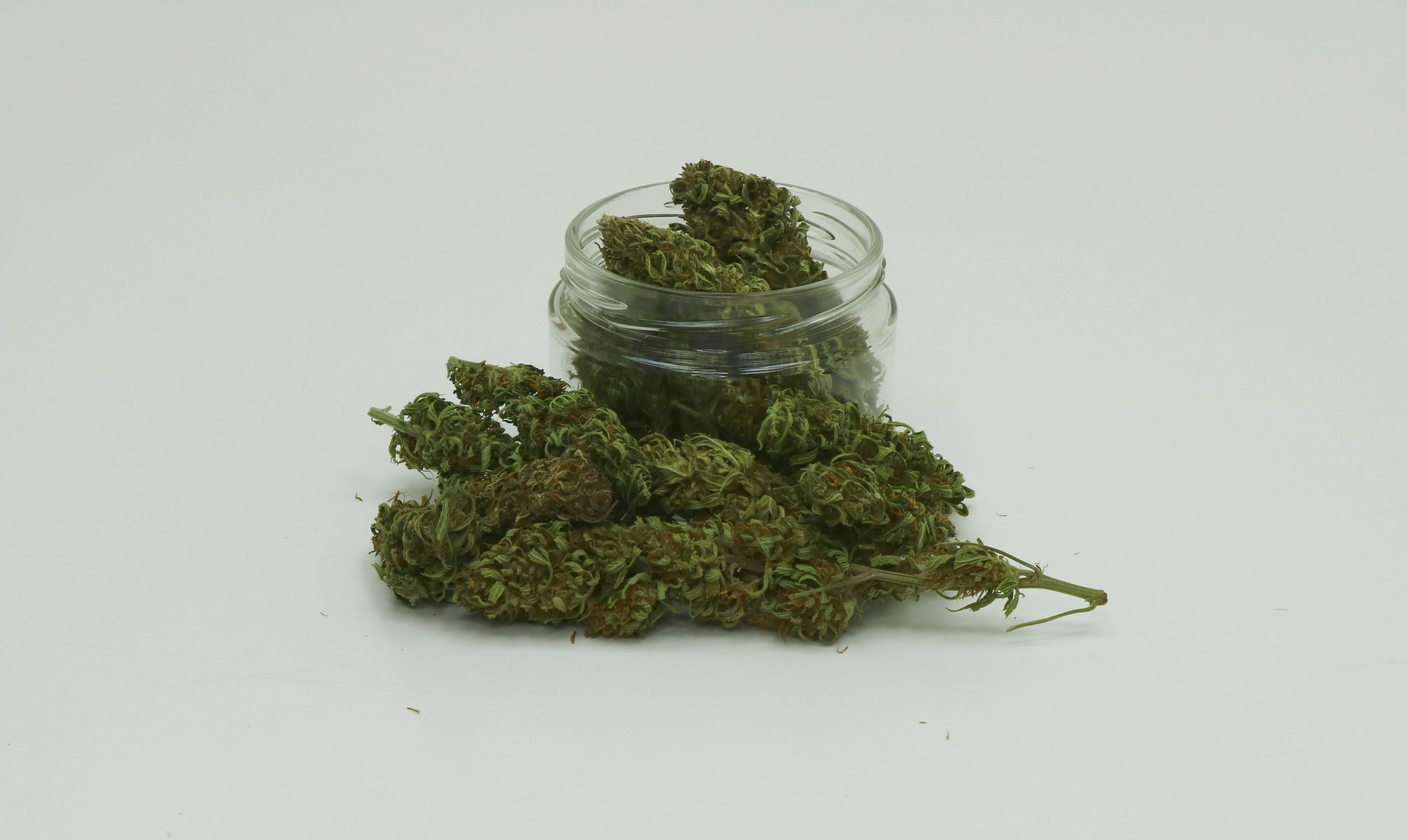 Susz konopi CBD do waporyzacji Kompolti jasny fenotyp 20g 4,5%