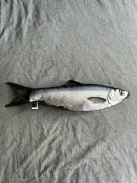 Іграшка подушка плюшева риба Оселедець (60*20см)