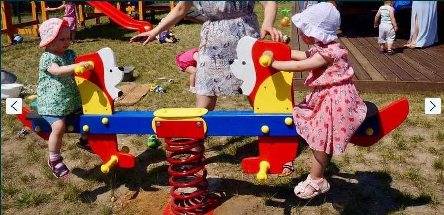 Plac zabaw Bujak na sprężynie typu ważka
