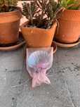 Concha de batismo prateada 5 rosas com saqueta transparente letra J