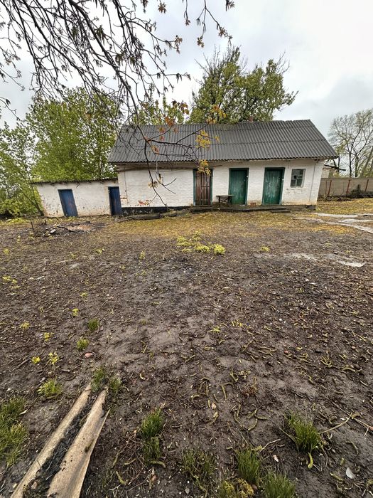 Продаж будинку в селі неподалік Рокитного