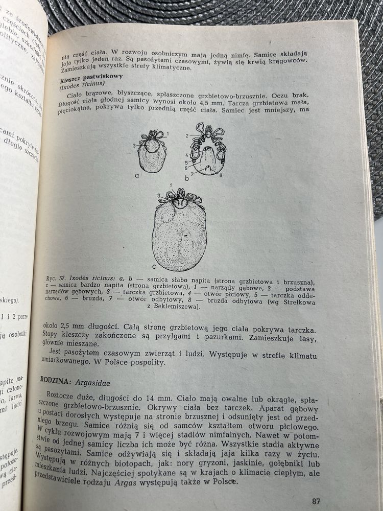 Zarys parazytologii lekarskiej