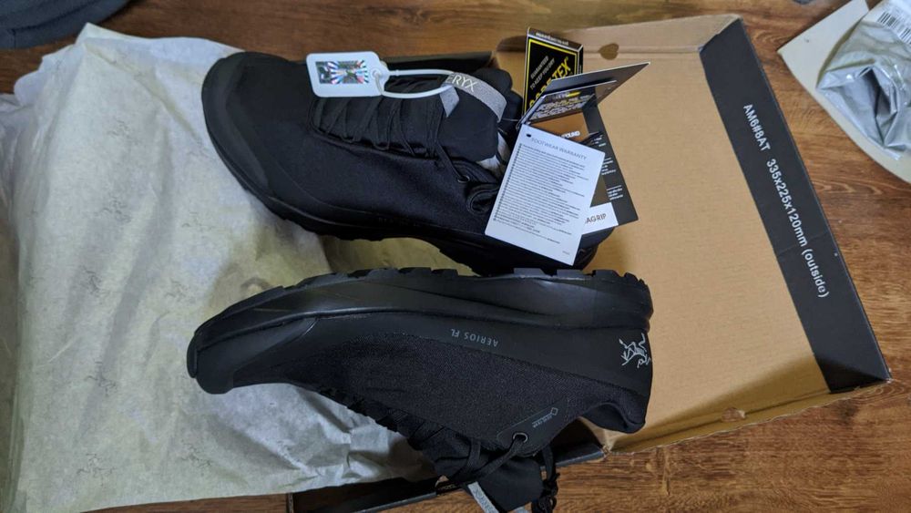 Чоловічі трекінгові кросівки Arcteryx Aerios FL GTX