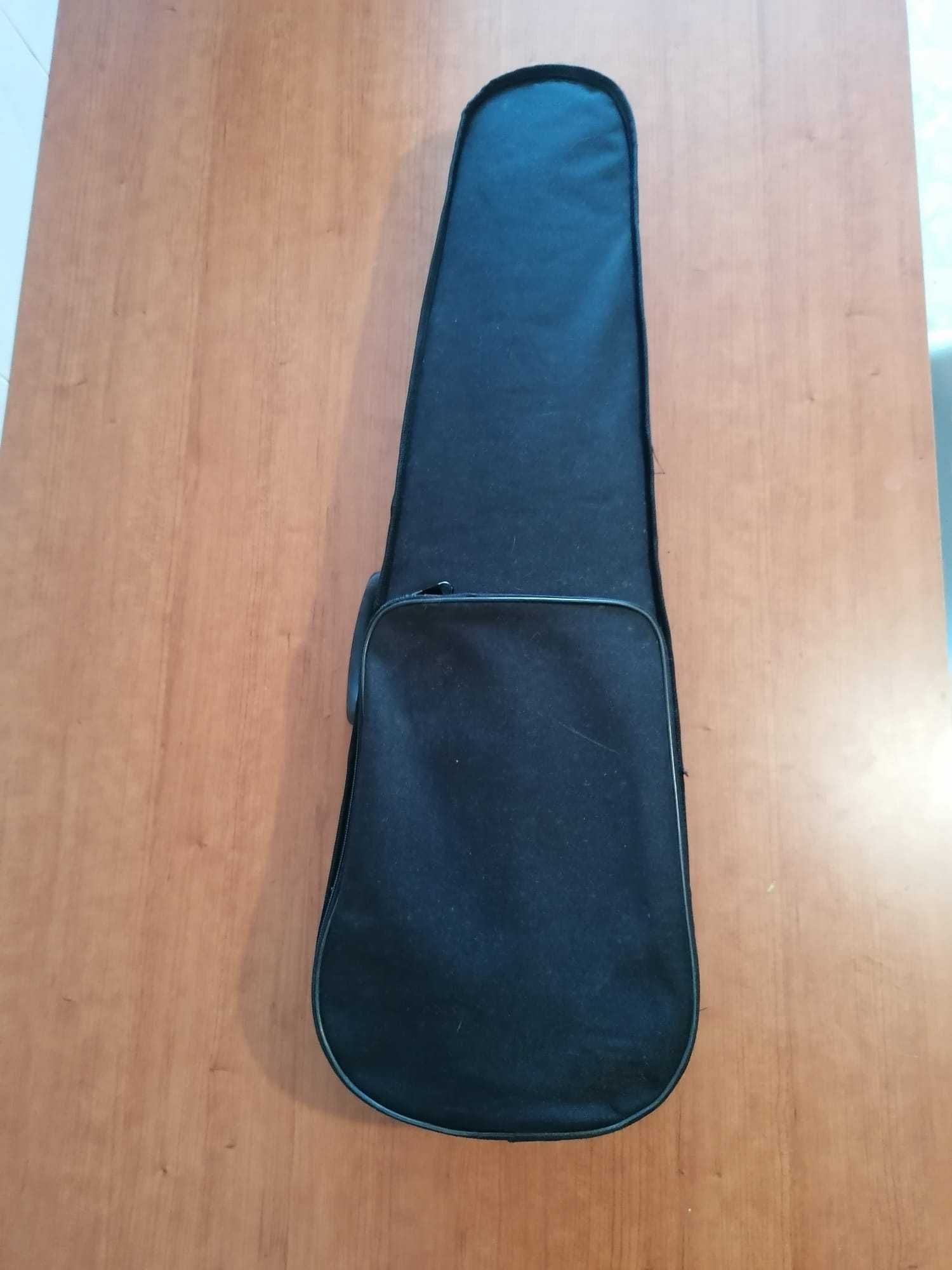 Violino Carlo Giordano