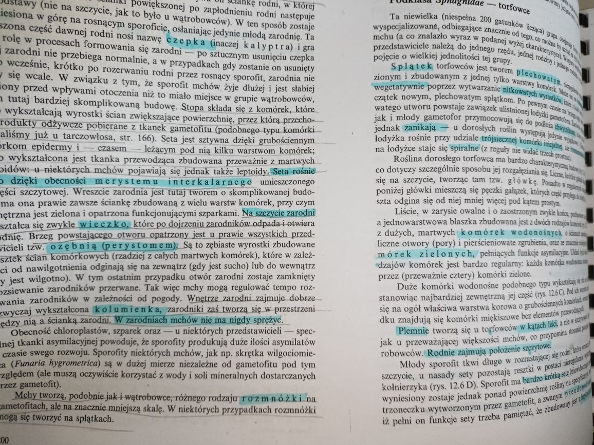 Botanika - Systematyka - A. Szweykowska/J. Szweykowski