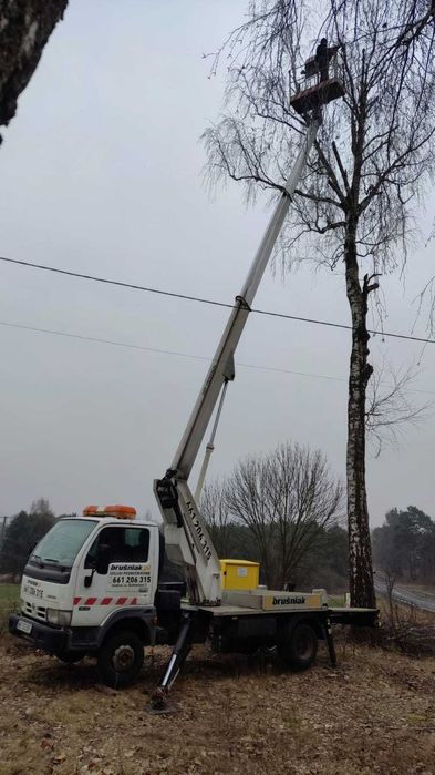 Wycinka drzew, prace alpinistyczne, zrębkowanie gałęzi