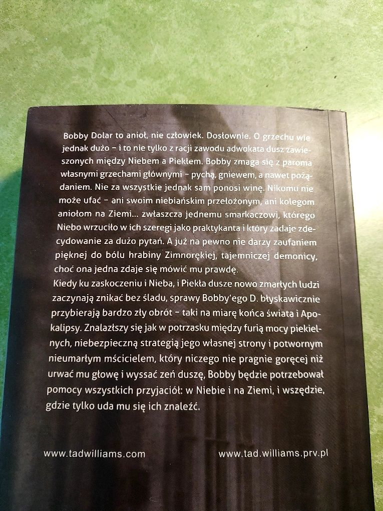 Książka Tad Williams " Brudne ulice nieba"