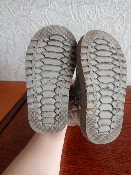 Зимние сапоги для девочки р 26 стелька 15см