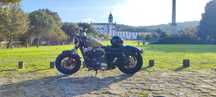Harley Davidson 48