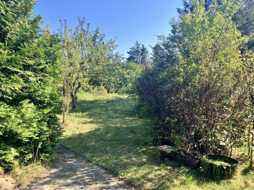 DzIalka rod sloneczne wzgorze matarnia 766m2