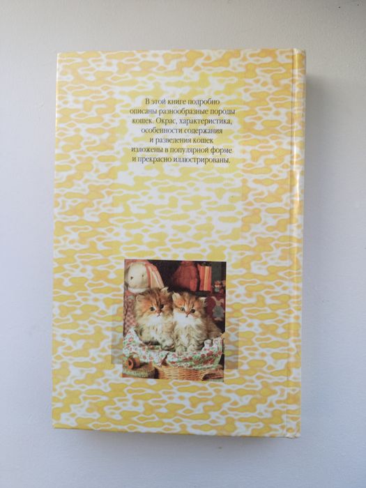 Книга. Всё о кошках.