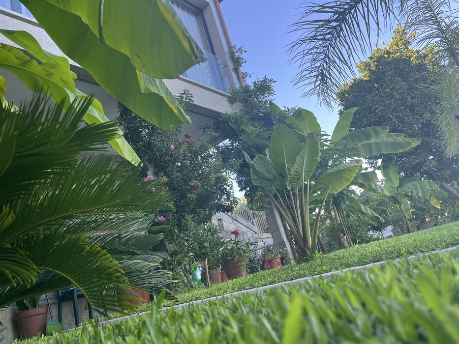 Casa Senherial de Luxo