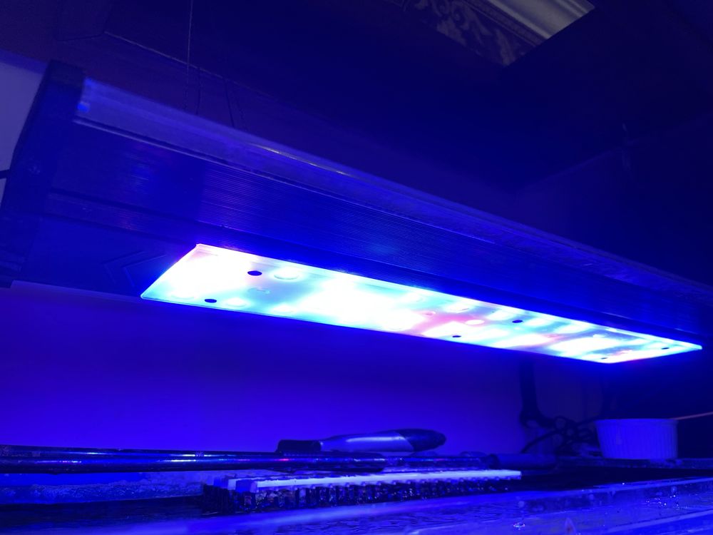 Zetlight QMAVEN ZT6600 - lampa LED do akwarium