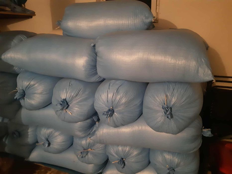 Sprzedam owies bingo