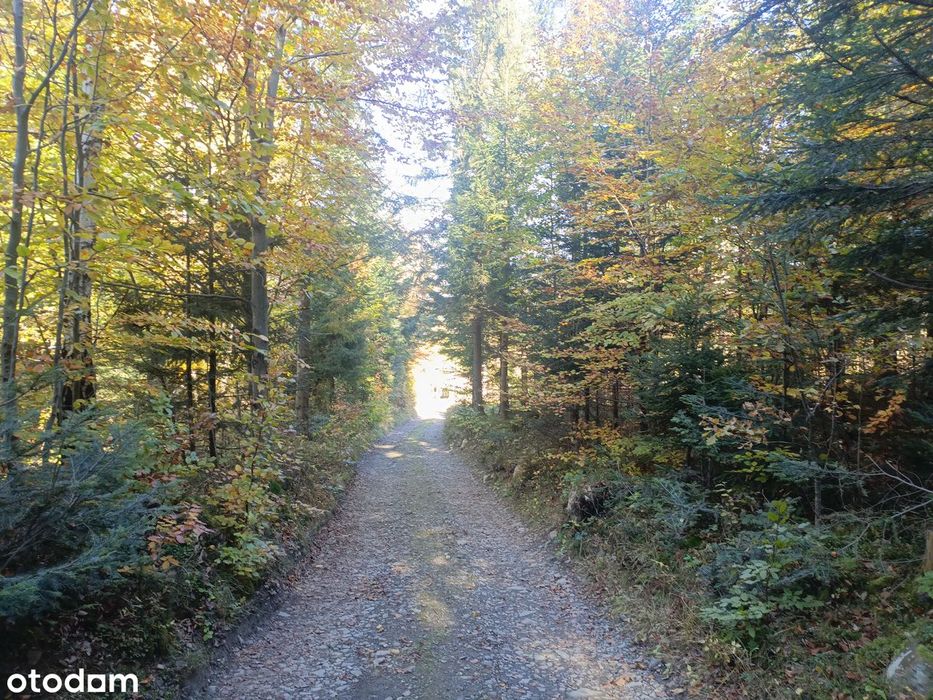 Dom wysoko w górach Zawoja Skawica, gospodarstwo rolne pola lasy