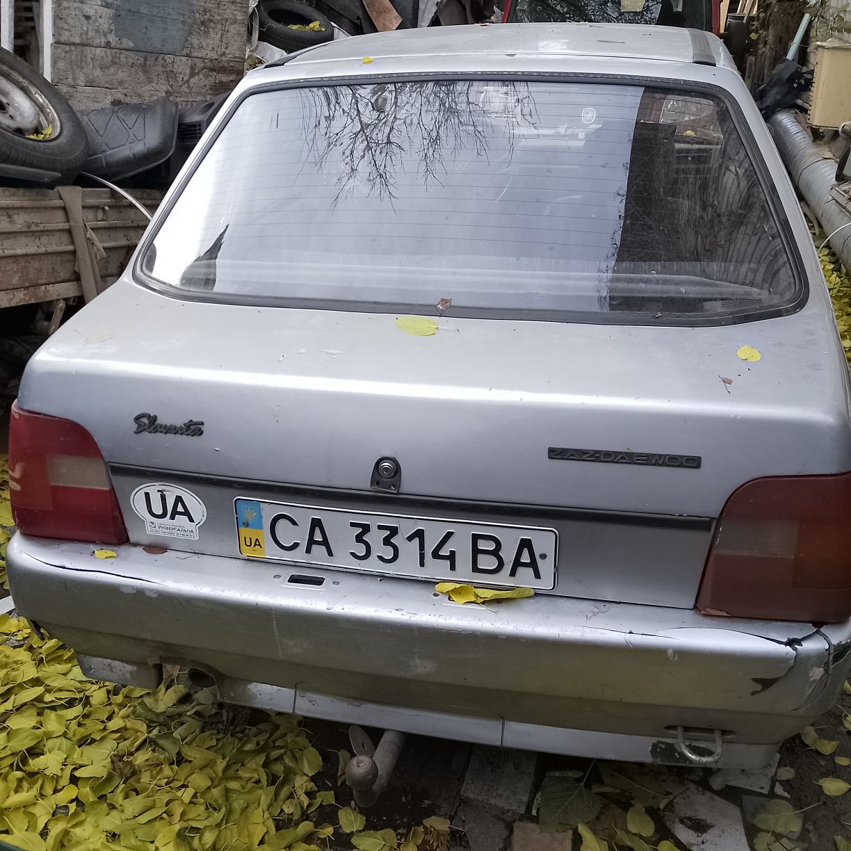 Двері, ляда Славута .