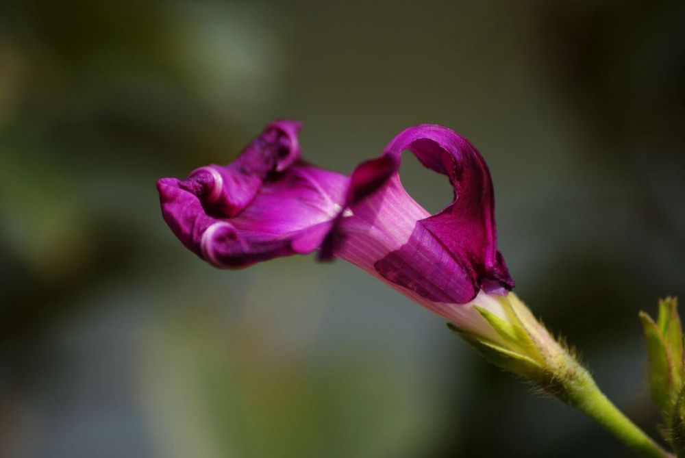 Зенит 11/е, фотоаппарат