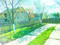 Продам будинок с.Великий Карашин,до Макарова 8 км.Газ,сад,город