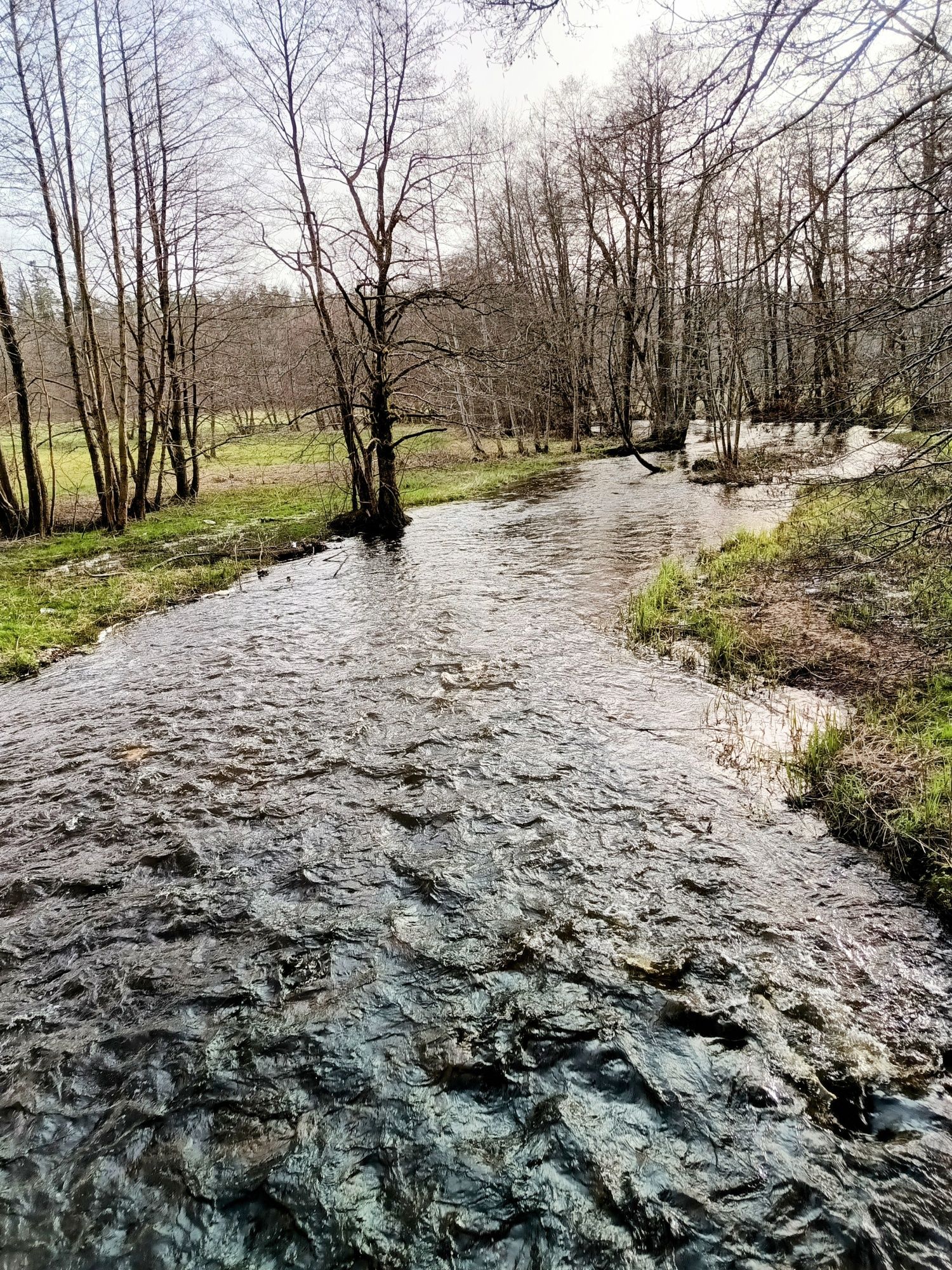 Kajaki - organizacja spływów