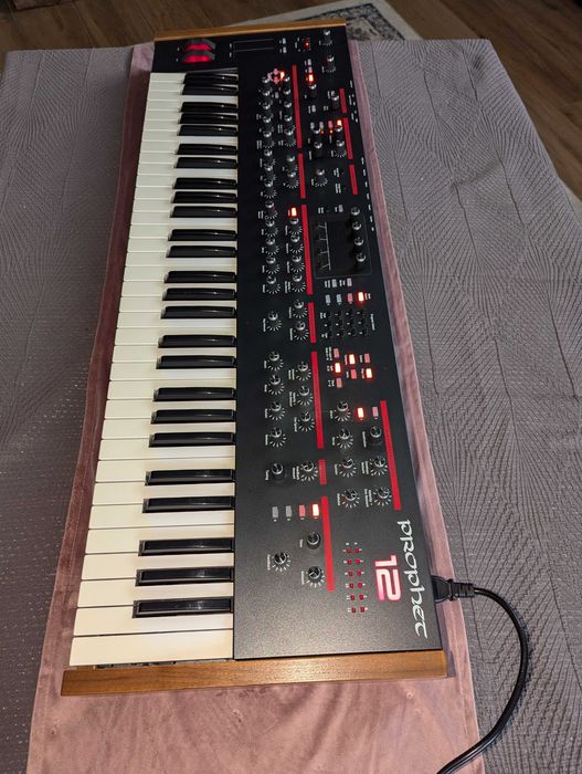 Dave Smith Prophet 12