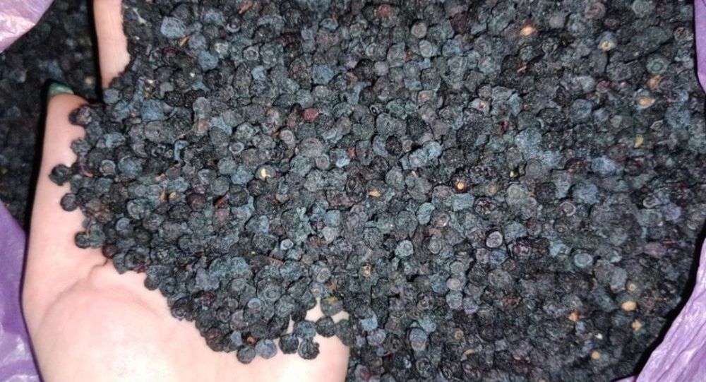 Чорниця суниця малина сушені