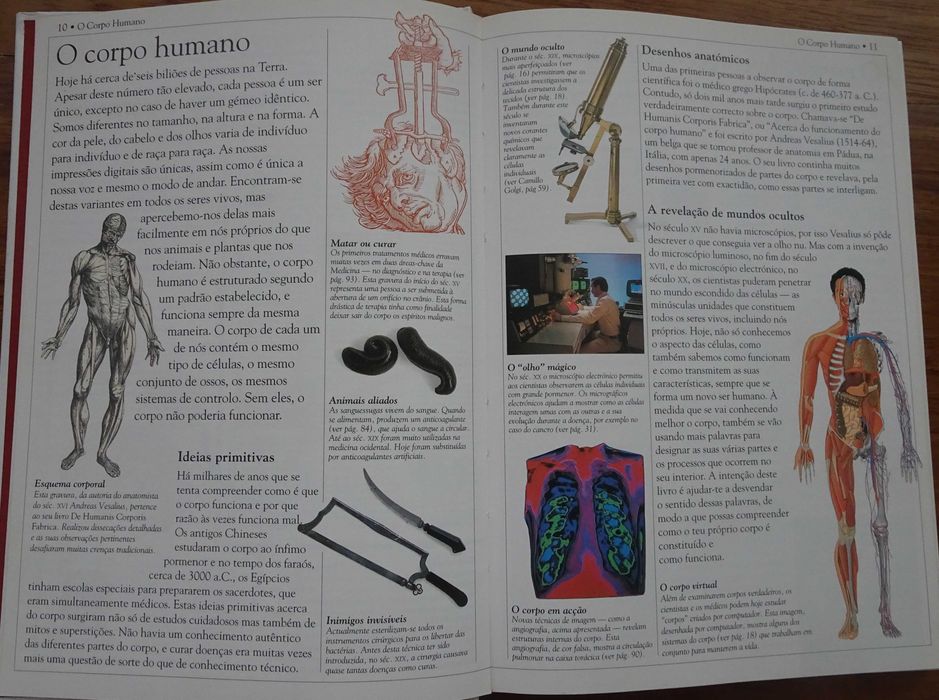 Dicionário Escolar do Corpo Humano